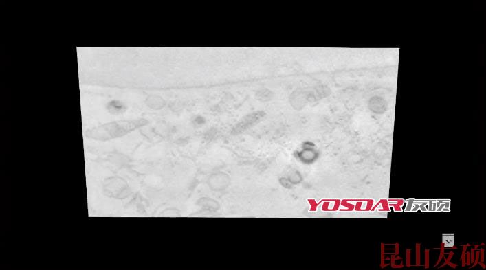 FIB宝坻扫描电镜